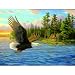 Summer Domain 500pc Jigsaw Puzzle by Mary Pettis