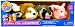 Zhu Zhu Pets Hamsters Wild Bunch Set of 4