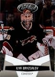 2010 /11 Panini Certified Hockey Card # 111 Ilya Bryzgalov Phoenix Coyotes In a protective screwdown display case!