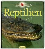 Produkt-Bild: insider Wissen - Reptilien