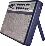  : Axl Thin Amp - Portable DSP Amplifier