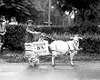 As the Sign Says - 'Slow But Sure' Parade Transportation - 16x20 Photographic Print from the Library of Congress Collection