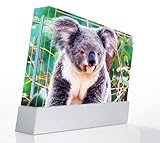 Cute Koala Bear Decorative Protector Skin Decal Sticker for Nintendo Wii Co ....