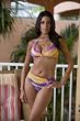 Swimwear Elongated Triangle Top: Swimsuit Top Only