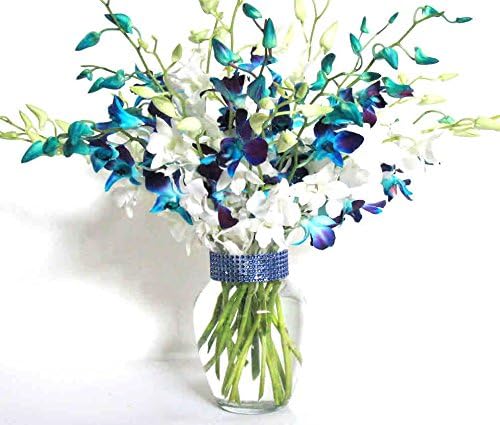 20 Blue and White Orchids with Vase w/ Rhinestone Ribbon