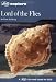 Letts Explore - Lord of the Flies: GCSE Text Guide