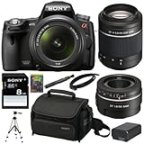 Sony Alpha SLT-A55V/L 16.2MP DSLR with Translucent Mirror Technology and 3D ....