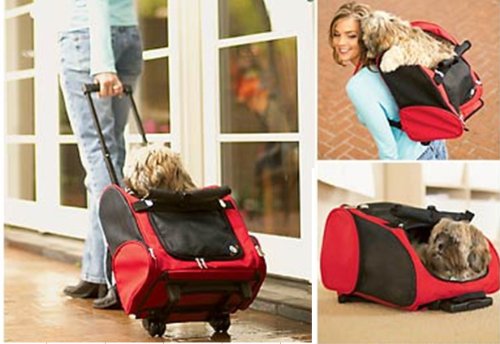 Roll Along Carrier & Backpack ON WHEELS