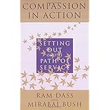 compassion in action setting out on the path of service