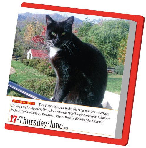 365 Cats 2010 Calendar (Color Page-A-Day(r) Calendars)