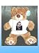 TWILIGHT EDWARD CULLEN CUDDLY 9 INCH TEDDY BEAR