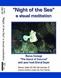 Night of the Sea - A Visual Meditation