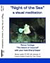 Night of the Sea - A Visual Meditation