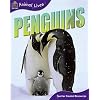 Animal Lives: Penguins