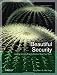 Beautiful Security: Leading Security Experts Explain How They Think