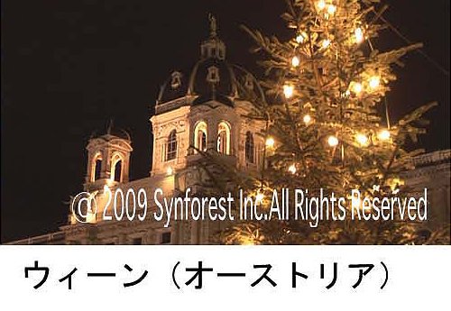 世界遺産のクリスマス 欧州3国・映像と音楽の旅 Christmas in the World Heritage [DVD]
