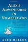 Alex's Adventures in Numberland
