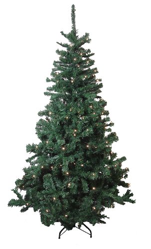 6' Pre-Lit LED Colorado Pine Artificial Christmas Tree - Warm Clear Lights 6' Pre-Lit LED Colorado Pine Artificial Christmas Tree - Warm Clear Lights