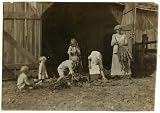Photo Mrs. J.L. Hazel and children stripping tobacco. A very interesting and poorly educated family. See special Photo Mrs. J.L. Hazel and children stripping tobacco. A very interesting and poorly educated family. See special