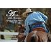 A Life with Horses: Spirit of the Work