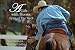  : A Life With Horses: Spirit of the Work