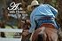 A Life With Horses: Spirit of the Work