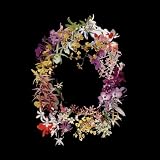 Build With Erosion (2xLP)