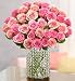 Mother's Day Gift Women's Day Gift----Pink Petals and Diamonds