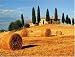 Tuscan Landscape