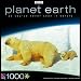 Search : Planet Earth Polar Bear Puzzle - 1000 Pcs.