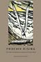 Phoenix Rising: The Next Generation of American Formal Poets
