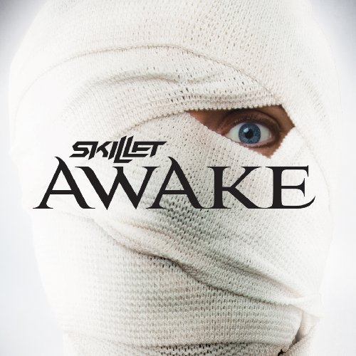 Skillet Picture