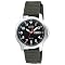 Citizen EcoDrive