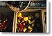 Organically-grown Peppers Are Featured Canvas Print / Canvas Art - Artist Stephen Alvarez
