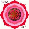 Maa