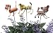 Assorted Dog Garden Stakes, set of 3