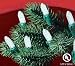 GE Energy Smart 100 LED Mini Warm White Holiday Indoor/Outdoor Lights