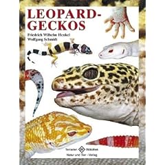 Leopardgeckos