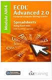 European computer driving licence®. ECDL advanced syllabus 2.0. Module AM4, Spreadsheets using Microsoft® Excel 2003