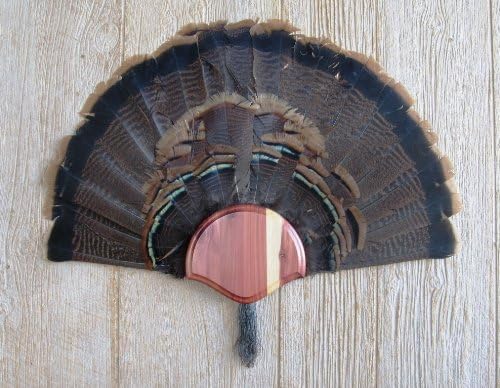 Taxidermists Woodshop The Cedar Turkey Mounting Kit -01
