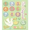KandCompany Pregnancy Sticker Medley