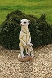 Standing Meerkat Ornament - Indoor / Garden Meerkat Statue
