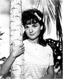 Dawn Wells - Movie Poster / Print -- Custom Framing Available