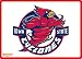 Wow!Pad 57LT014 Iowa State Collegiate Logo Laptop Mouse Pad