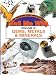 GEMS METALS AND MINERALS