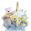 Beary Special Keepsakes New Baby Gift Basket Featuring Grow-a-Tree Kit and Handprint Kit - Great Shower or Christmas Holiday Gift Idea for Newborns