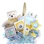 Beary Special Keepsakes New Baby Gift Basket Featuring Grow-a-Tree Kit and Handprint Kit - Great Shower Gift Idea for Newborns