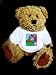 Teddy Bear with human, body, individuals, individual, persons, humans, girl, people, pet, person, jumping, dog t-shirt