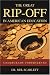 The Great Rip-Off in American Education: Undergrads Underserved