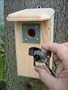 Hawk Eye Nature Cam, from Manufacturer Birdhouse Spy Cam